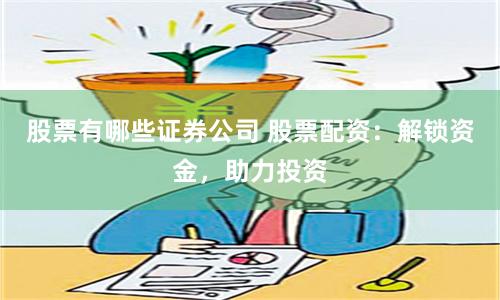 股票有哪些证券公司 股票配资：解锁资金，助力投资