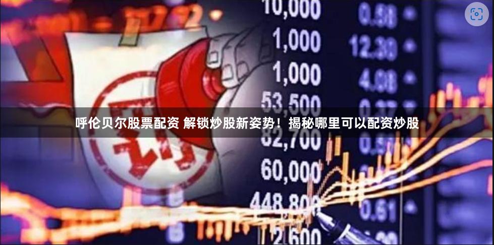 呼伦贝尔股票配资 解锁炒股新姿势！揭秘哪里可以配资炒股