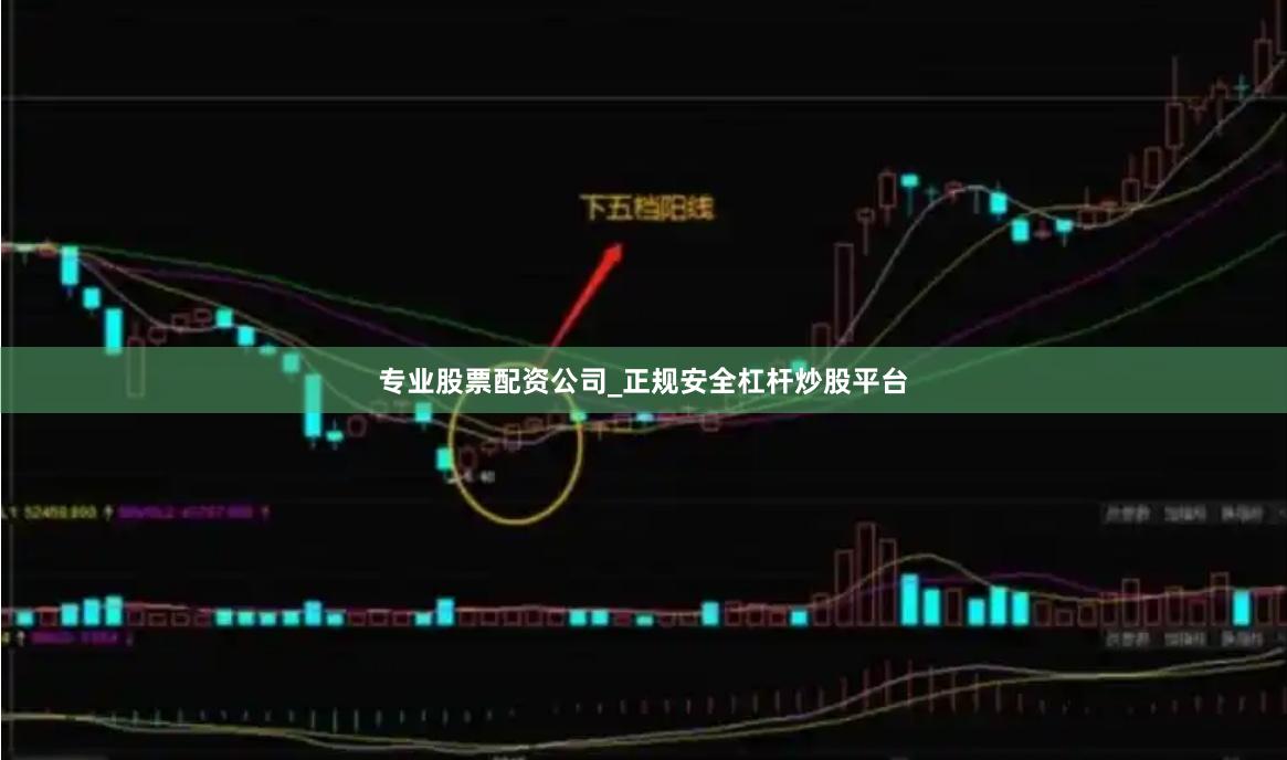 专业股票配资公司_正规安全杠杆炒股平台